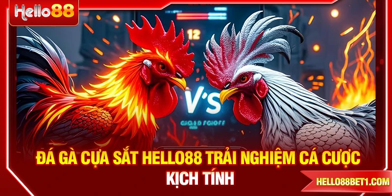 Đá Gà Cựa Sắt HELLO88 – Trải Nghiệm Cá Cược Kịch Tính