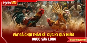 Vảy Gà Chọi Thần Kê Cực Kỳ Quý Hiếm Được Săn Lùng