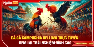 Đá Gà Campuchia HELLO88 Đem Lại Trải Nghiệm Đỉnh Cao