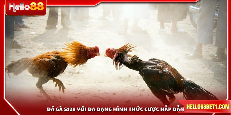 Đá gà S128 với đa dạng hình thức cược hấp dẫn