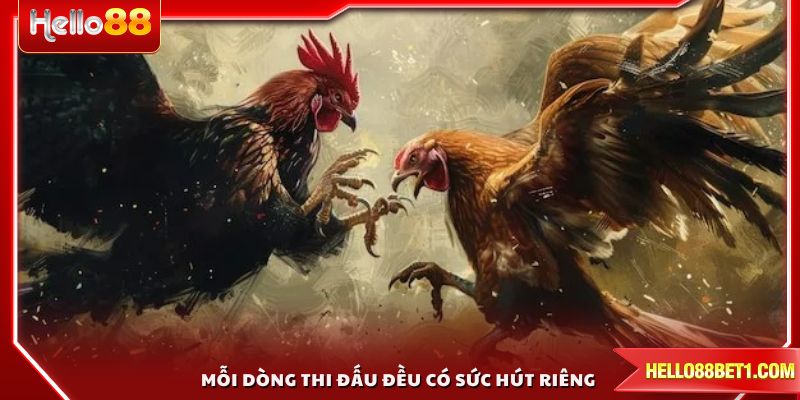 Mỗi dòng thi đấu đều có sức hút riêng